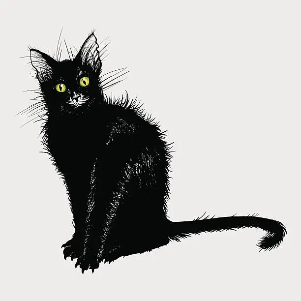 spooky drawings - black cat