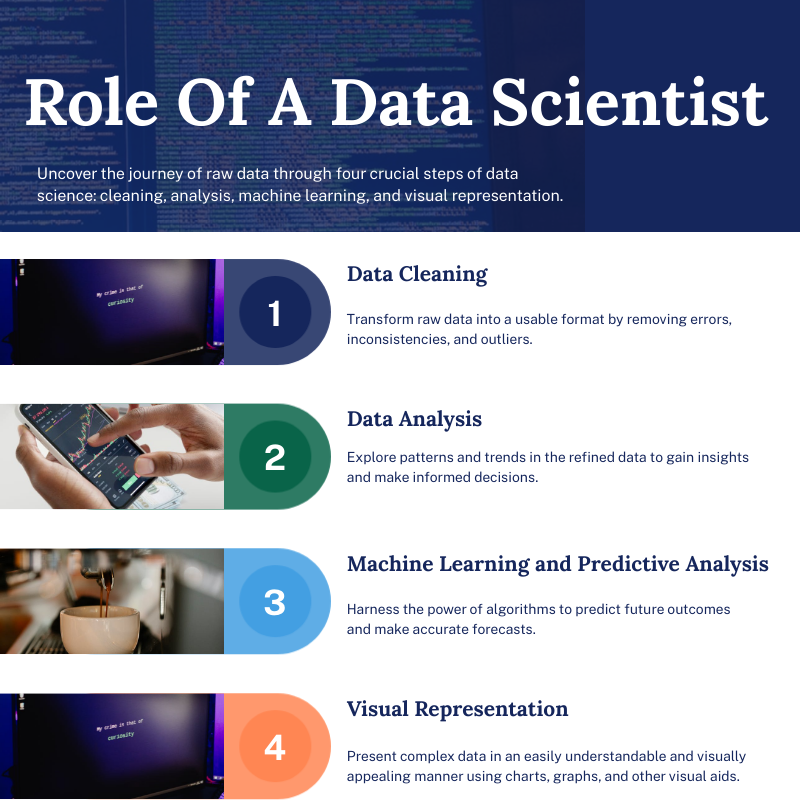 role of a data scientist
